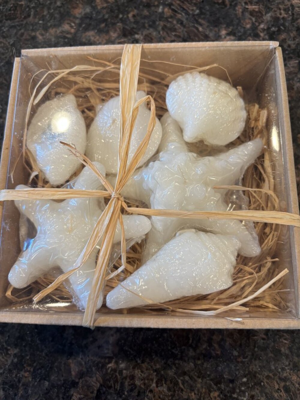 NIB Six Shell Shaped White Candles